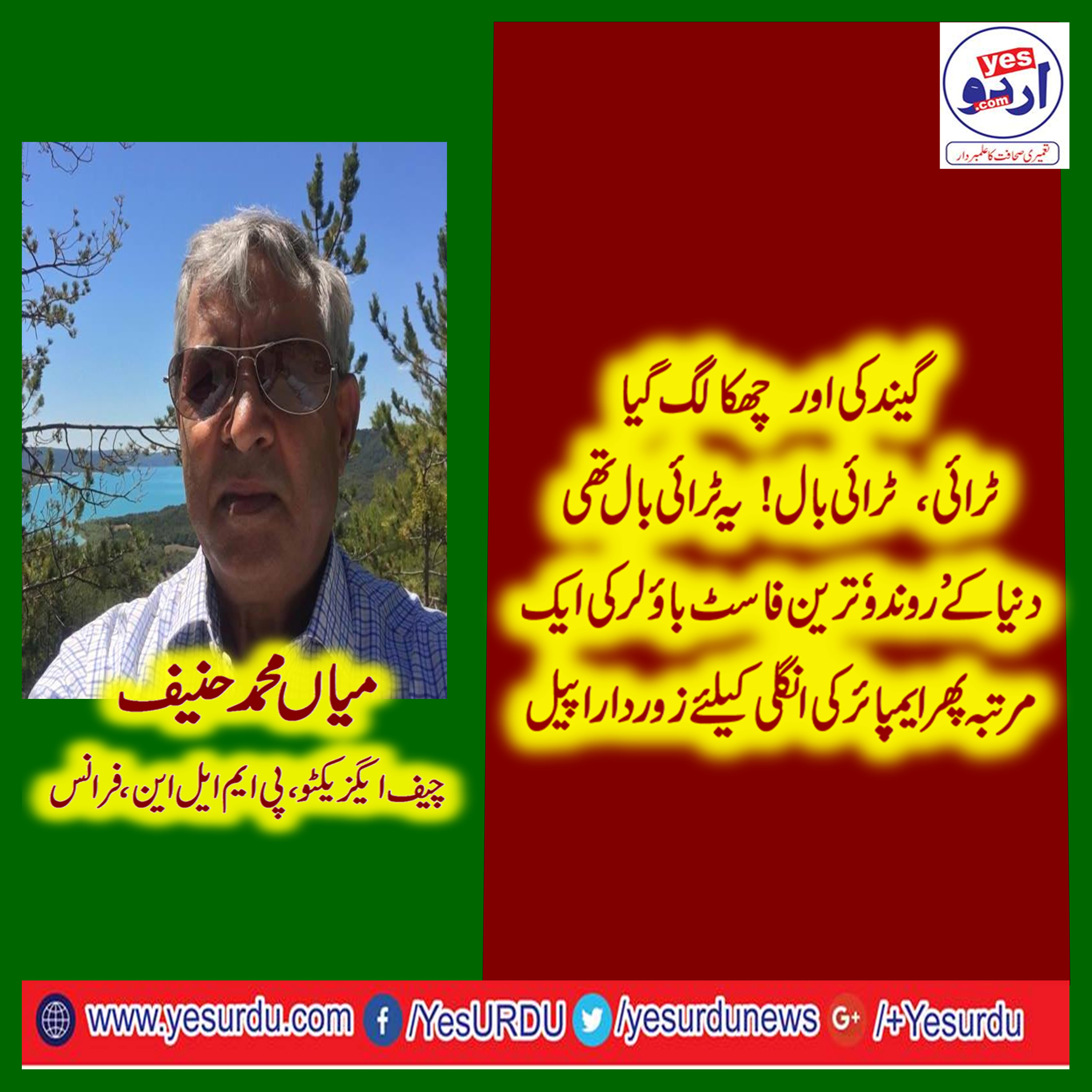 mian muhammad hanief, chief, executive, PMLN, France