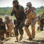 Foreign interests and strategies