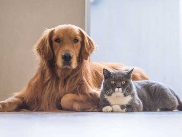 Hearing of father's kidnapping and murder case in Karachi Karachi