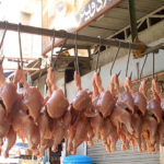 The chicken was cheaper in Karachi