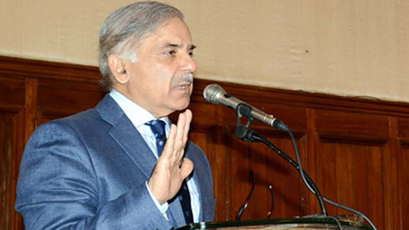 In the next five years, 10 thousand MW of power was included in the National Grid: Shahbaz Sharif