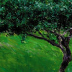 Pakistan's beauty 'tree'
