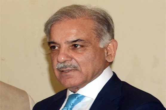 Zardari and Nazi have ruined their provinces: Shahbaz Sharif
