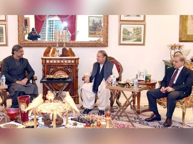Shahbaz Sharif and prime minister's meeting with Nawaz Sharif