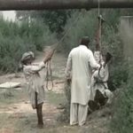 Violence of the specialist in Gujranwala, violence against women, video viral