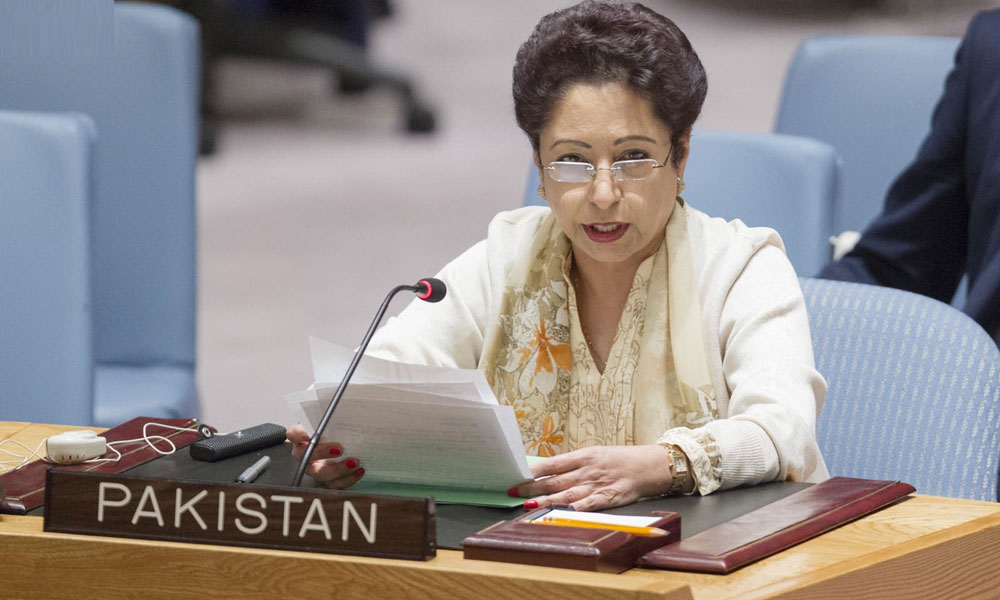 Security Council failed to pay the duties, Mulahda Lodhi