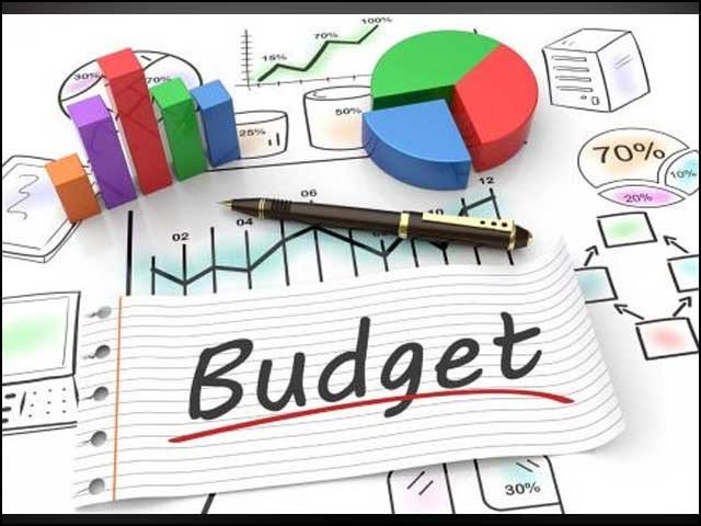 Budget and Politics Critics