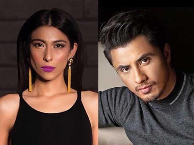 Meesha Shafi again accused Ali Zafar of sexual harassment