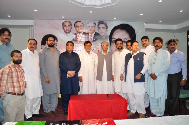 man, of, cricis, iron, man, syed nayyar hussain bukhari, ex-chairman, senate