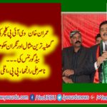 nasir ali ranjha, president,PPP, Italy, said, imran,khan, is, works, example,of,vip,culture, in, Pakistan