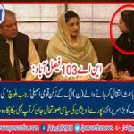 There are many martial laws in the country and internal culture of political parties gave birth to political heritage in Pakistan