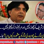 Hassan Nisar give advised to Chaudhry Nisar