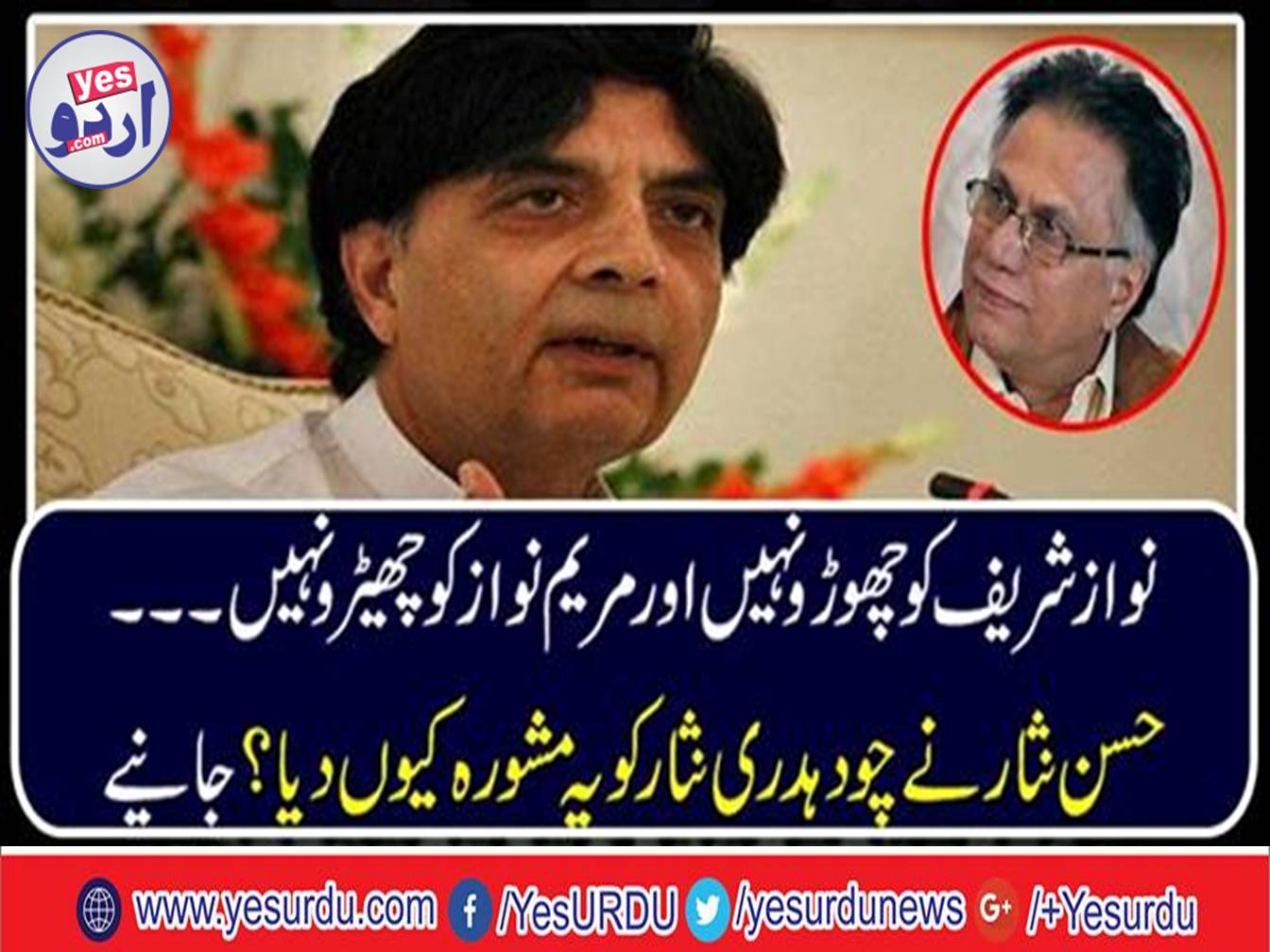 Hassan Nisar give advised to Chaudhry Nisar
