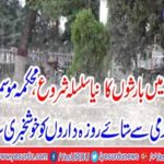 A new rain series starts in the country