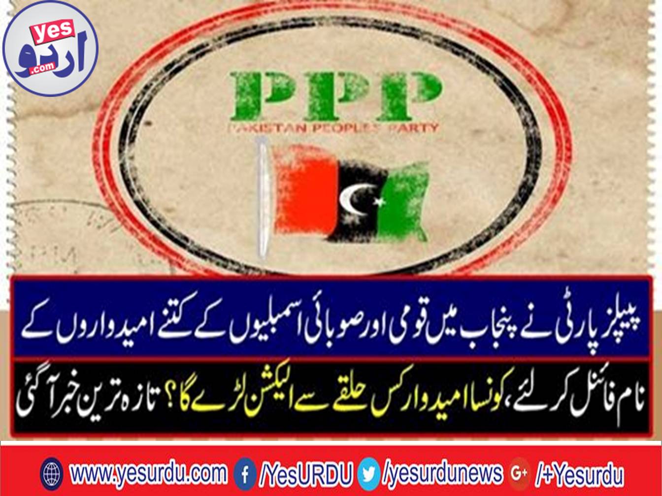 Which candidate will contest the election from?