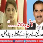 The case of Chaudhry Nisar was more complicated as slicing former Minister of Railways, Khawaja Saad Rafiq,