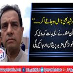 Sheikh Rasheed became disqualified if he was in the Muslim League (N), Captain (R) Safdar