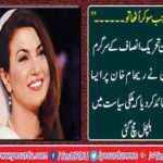 Such allegations of activist of Pakistan Tehreek-e-Insaf, that blasphemy in domestic politics