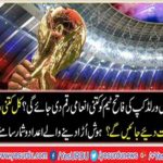 How much reward money will be given to Football World Cup Champ team?