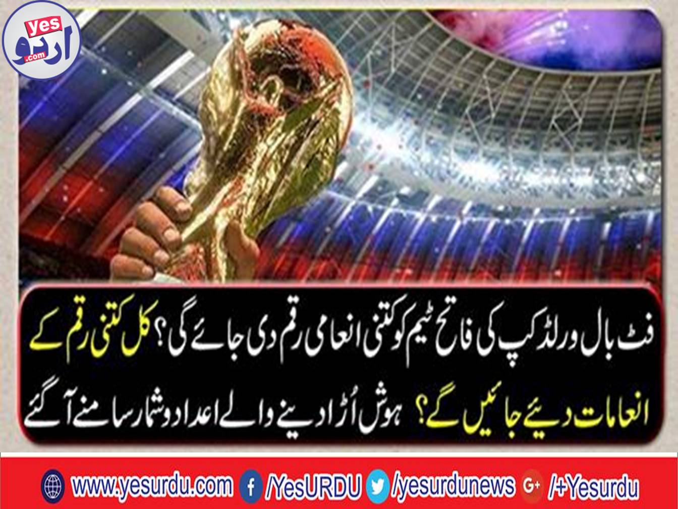 How much reward money will be given to Football World Cup Champ team?