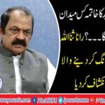 Sheikh Rasheed should be eliminated in the political field, former law minister Punjab Rana Sana ullah