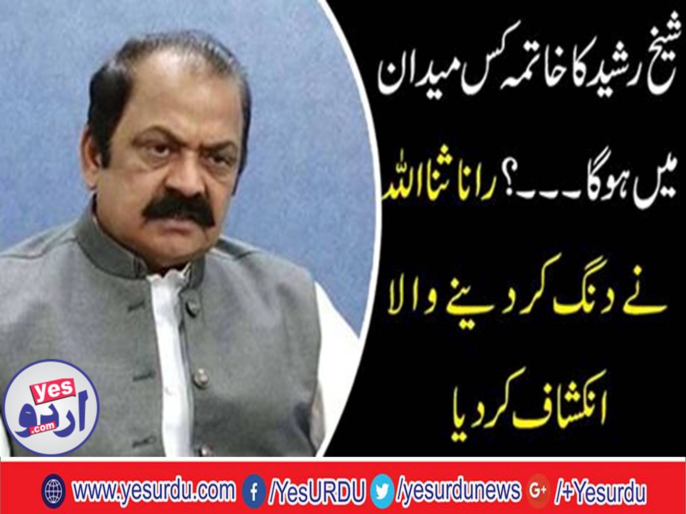 Sheikh Rasheed should be eliminated in the political field, former law minister Punjab Rana Sana ullah