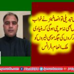 PTI, IGNORED, THE, BASIC,WORKERS, IN, LOVE,OF, TABDEELI, MALIK INAM, PMLN, YOUTH, WING,FRANCE