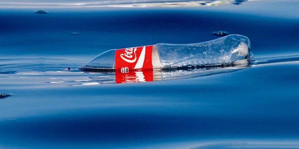The ocean is all in the chest but