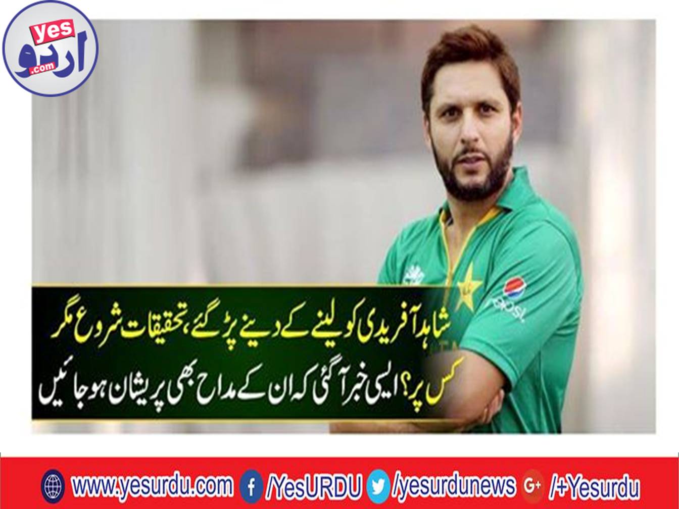 Wildlife Sindh Department ordered the investigation against Shahid Afridi taking notice of the presence of lion at home