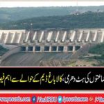 The PPP once again opposed the Kalabagh Dam