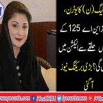 PML N uturn