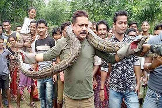 India: The government officer embraced Saladah with an elephant