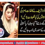 Maryam Nawaz showed details of assets iin nomination papers