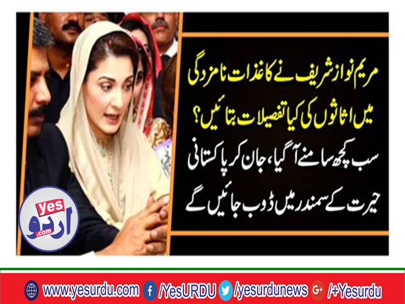 Maryam Nawaz showed details of assets iin nomination papers