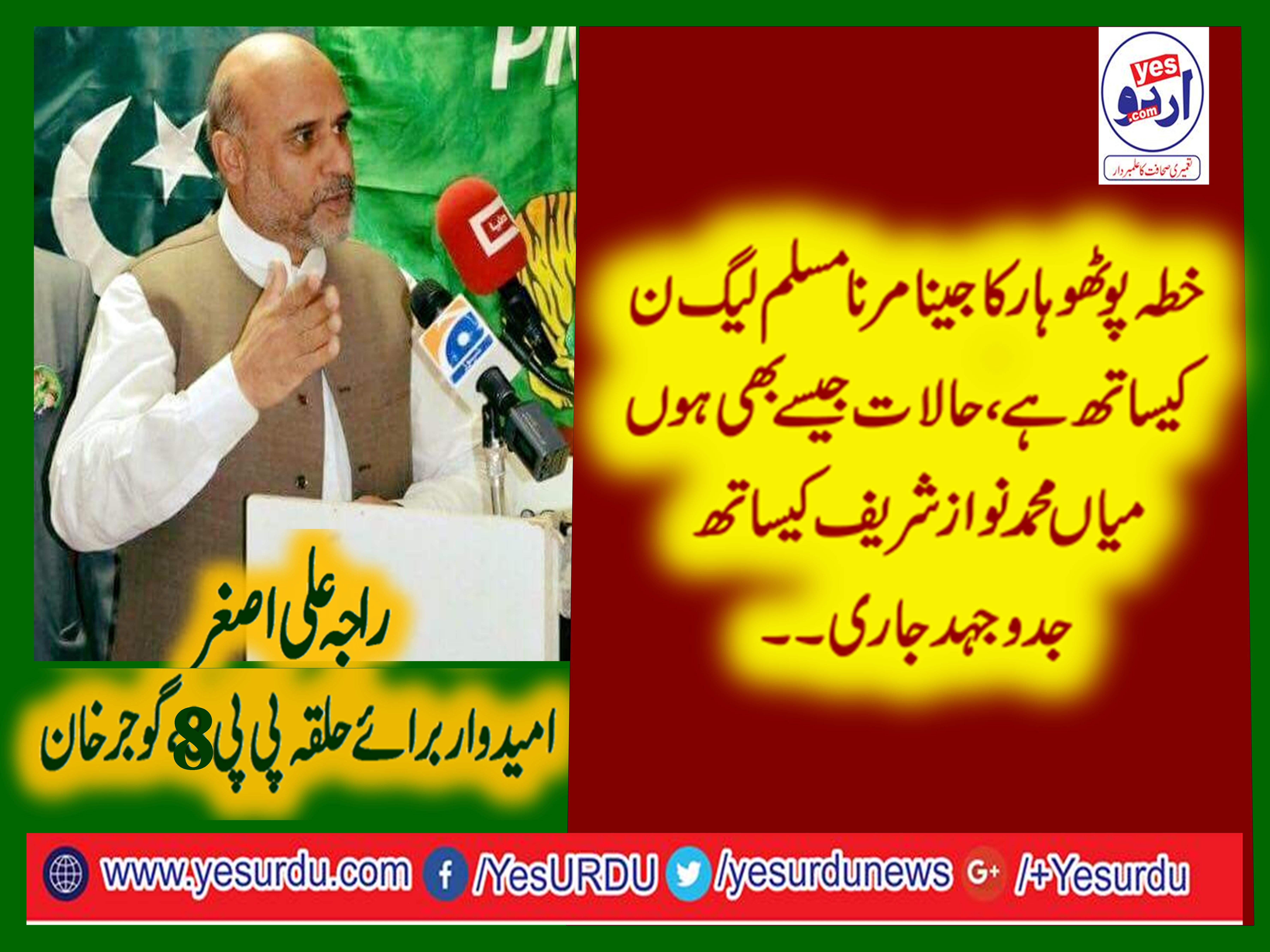 POTOHAR, REGION, PEOPLE, LIVE,AND, DIE,WITH, MUSLIM LEAGUE, NOON, RAJA ALI ASGHAR, CANDIDATE, FOR, PP-8, GUJAR, KHAN