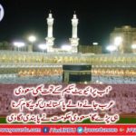 Saudi government banned
