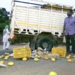 Suspension of fruits, vegetable, milk and yogurt in India