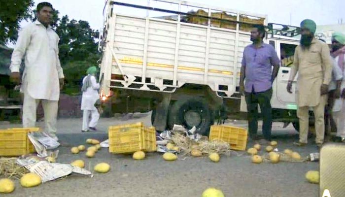 Suspension of fruits, vegetable, milk and yogurt in India