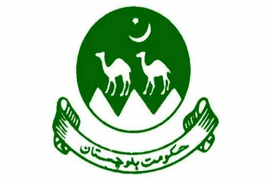 11-member caretaker cabinet cabinet took oath