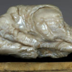 The world's largest and ancient pearl is auction worth Rs 4 crores
