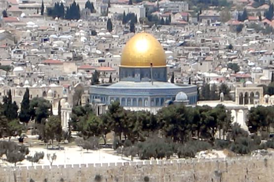 No solution to the formation of two states: Citizenship Announcement