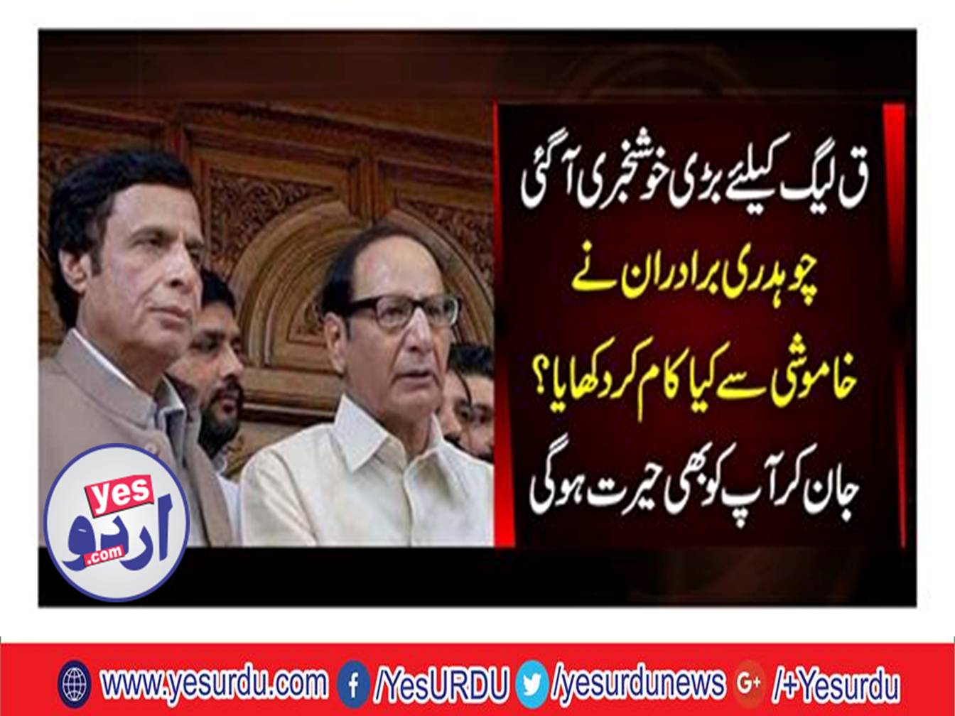 Chaudhry Pervaiz Elahi strategy worked, the position of PML Q in Gujarat is stable