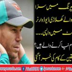 David Warner's return to cricket