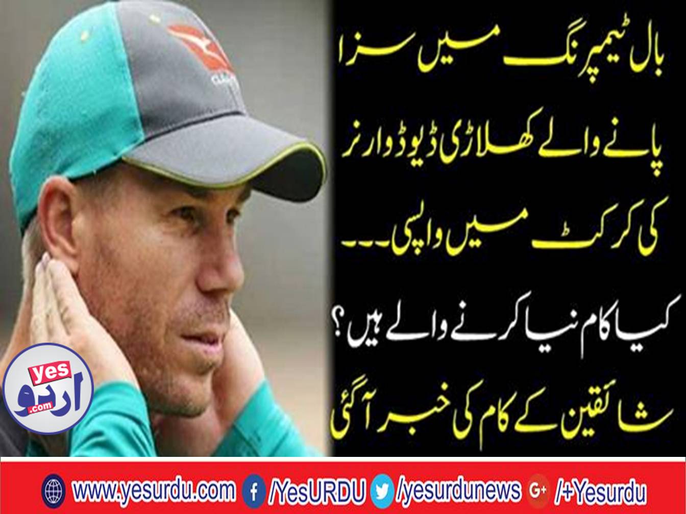 David Warner's return to cricket