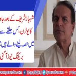 After Shahbaz Sharif, U-turn of Javed Hashimi