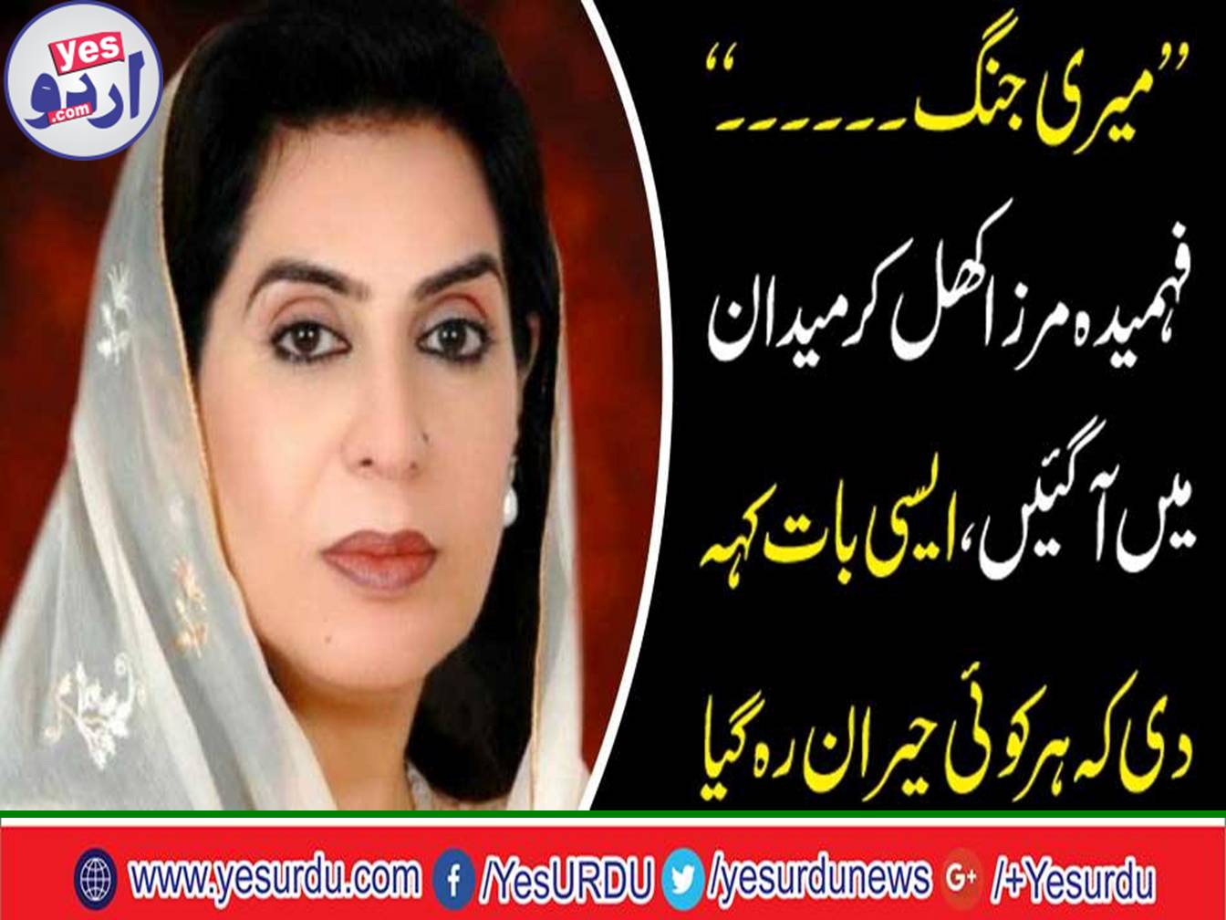 My battle is with a powerful mafia who is active on every front of me, Former Speaker National Assembly Dr. Fahmida Mirza