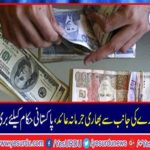 Heavy penalty imposed by the World Institute