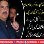 Imran Khan abused me in the case of Reham Khan, leader PPP, Nabil Gabol