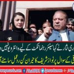 Chaudhary Nisar said senior leaders do not give interview for ticket