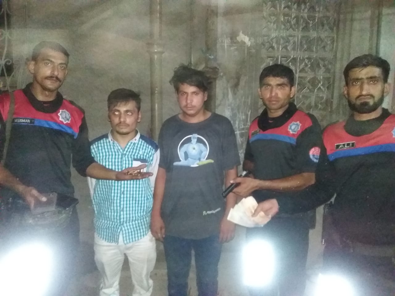 Dolphin squad action